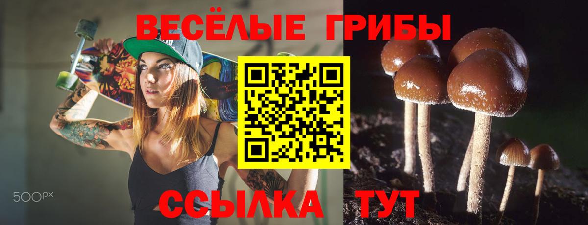 Галлюциногенные грибы мицелий  Вход с VPN  купить наркотик  Клин 